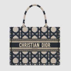 Dior Book Tote Beige and Blue Macrocannage Embroidery